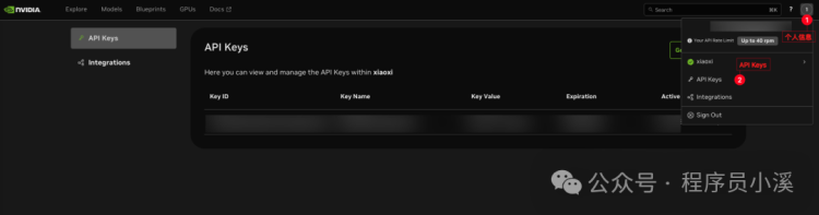 NVIDIA英伟达AI模型免费API怎么申请(7)